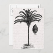 Vintage Retro Brazilian Palm Tree Template Palms Briefkaart (Voorkant / Achterkant)