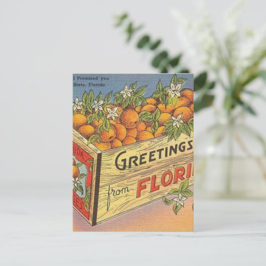 Vintage Retro Florida Sinaasappels Briefkaart (Staand voorkant)