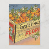 Vintage Retro Florida Sinaasappels Briefkaart (Voorkant)