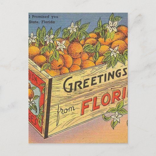 Vintage Retro Florida Sinaasappels Briefkaart (Voorkant)