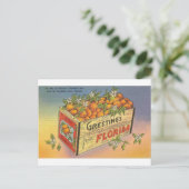 Vintage Retro Florida Sinaasappels Briefkaart (Staand voorkant)
