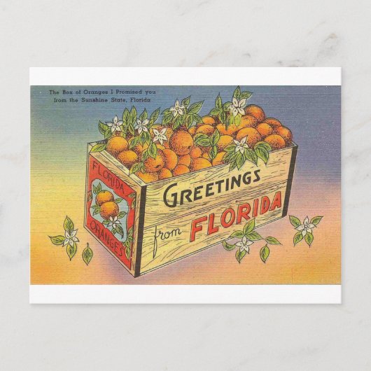 Vintage Retro Florida Sinaasappels Briefkaart (Voorkant)