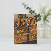 Vintage Retro Florida Sinaasappels Briefkaart (Staand voorkant)