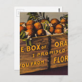 Vintage Retro Florida Sinaasappels Briefkaart (Voorkant / Achterkant)