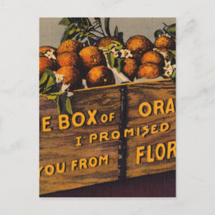 Vintage Retro Florida Sinaasappels Briefkaart