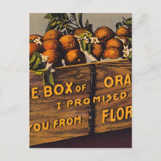 Vintage Retro Florida Sinaasappels Briefkaart (Voorkant)