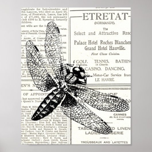 Vintage Retro Insect Newspaper Black and White Poster (Voorkant)
