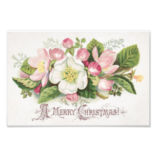 Vintage Retro Kerstkaart, Appelbloesem Foto Afdruk