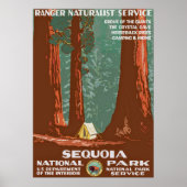 Vintage Retro Sequoia National Park Reis Poster (Voorkant)