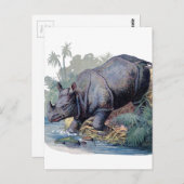 Vintage Rhino Briefkaart (Voorkant / Achterkant)