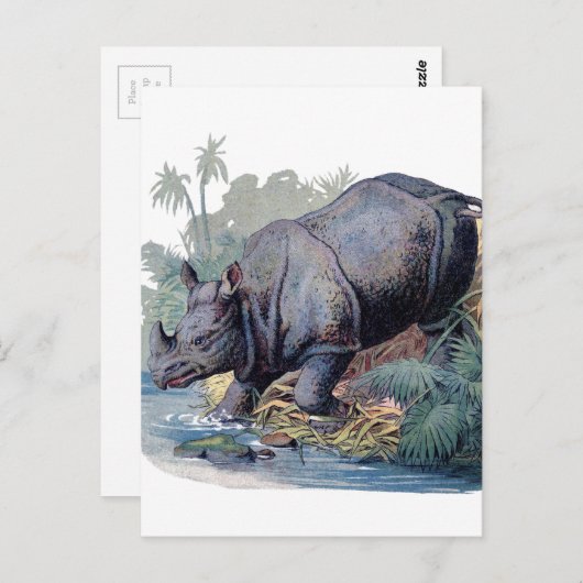 Vintage Rhino Briefkaart (Voorkant / Achterkant)