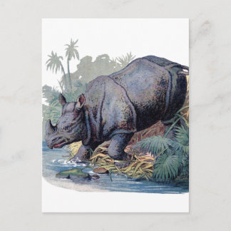 Vintage Rhino Briefkaart