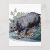 Vintage Rhino Briefkaart (Voorkant)