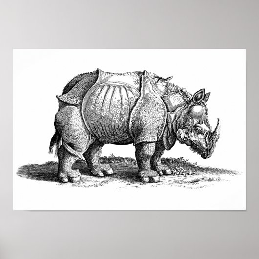 Vintage Rhino - Dürer's Rhinoceros Poster (Voorkant)
