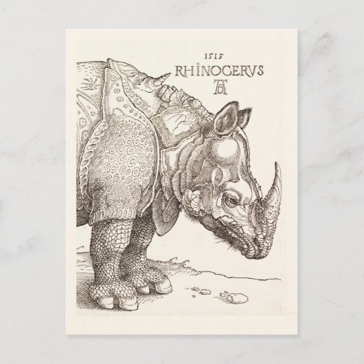 Vintage Rhinoceros Briefkaart (Voorkant)