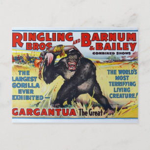 Vintage Ringling Bros Briefkaart