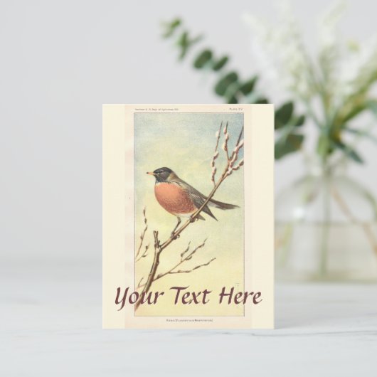 Vintage Robin Briefkaart (Staand voorkant)