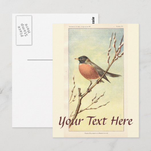 Vintage Robin Briefkaart (Voorkant / Achterkant)