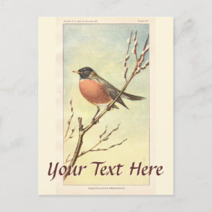 Vintage Robin Briefkaart