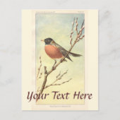 Vintage Robin Briefkaart (Voorkant)