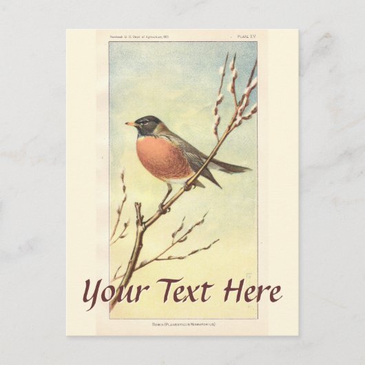 Vintage Robin Briefkaart (Voorkant)