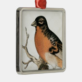 Vintage Robin Metalen Ornament (Rechts)