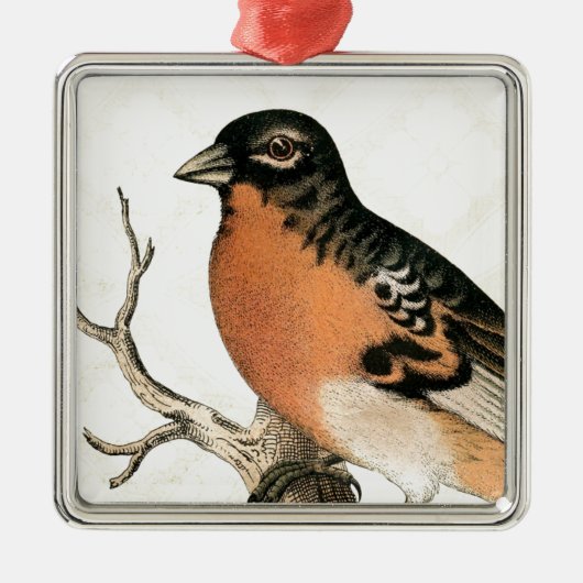 Vintage Robin Metalen Ornament (Voorkant)