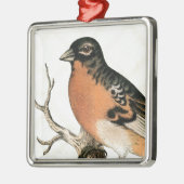 Vintage Robin Metalen Ornament (Links)