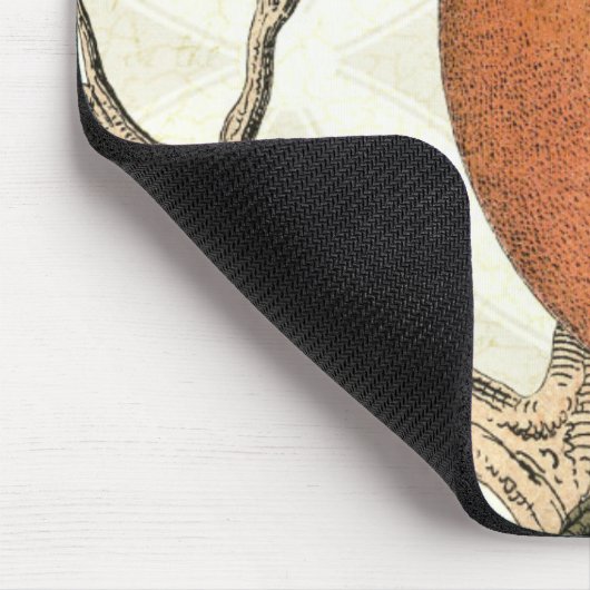 Vintage Robin Muismat (Hoek)