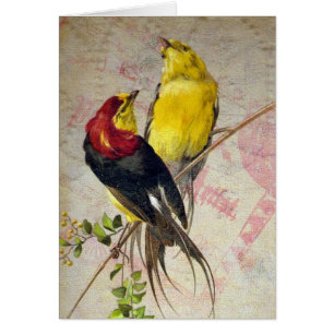 Vintage Rode en Gele Vogels Uitnodiging voor Ieder