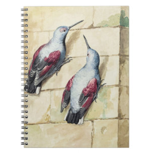 Vintage Rode en Grijze Vogel Aquarel Kunst Notitieboek