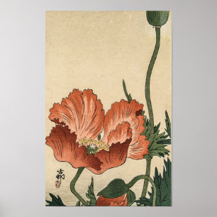 Vintage rode klaproos bloem door Ohara Koson Poster