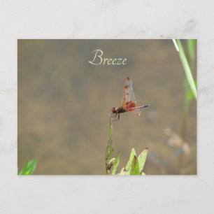 Vintage Rode Libelle Aangepaste Botanische Notitie Briefkaart