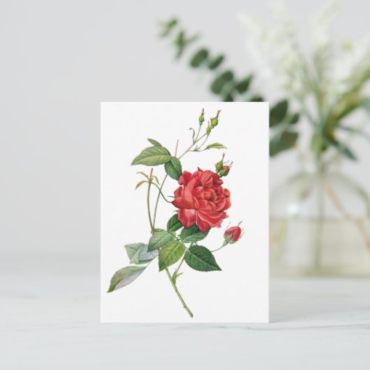 Vintage rode roze briefkaart (Staand voorkant)