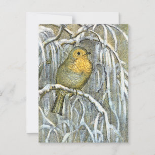 Vintage roodborstje op een besneeuwde tak briefkaart