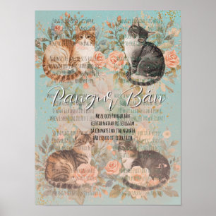 Vintage Roos Bloemige Cottage Tuin Katten Pangur B Poster