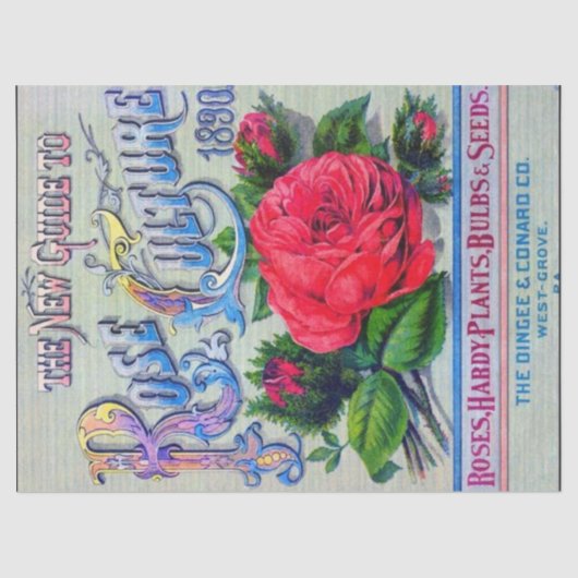 Vintage Roos cultuur Tissuepapier (Voorkant)
