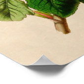 Vintage Roos Poster (Hoek)