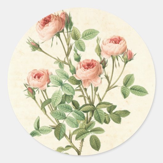 Vintage Roos Sticker (Voorkant)