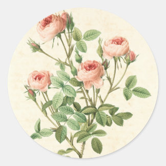 Vintage Roos Sticker