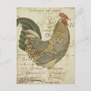 Vintage Rooster Brown Feathers Briefkaart