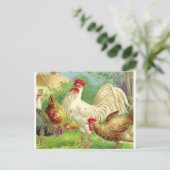 Vintage Rooster en kippen Briefkaart (Staand voorkant)