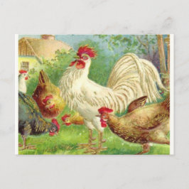 Vintage Rooster en kippen Briefkaart
