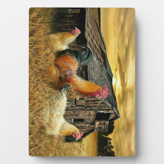 Vintage Rooster Hens Rustic Barn Coop Fotoplaat (voorkant)