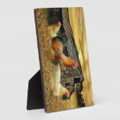Vintage Rooster Hens Rustic Barn Coop Fotoplaat (Zijkant)