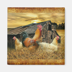 Vintage Rooster Hens Rustic Barn Coop Magneet