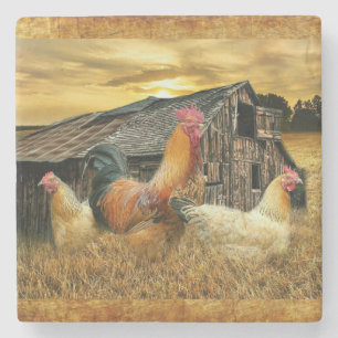 Vintage Rooster Hens Rustic Barn Coop Stenen Onderzetter