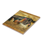 Vintage Rooster Hens Rustic Barn Coop Tegeltje (Zijkant)