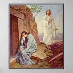 Vintage : rooster - poster