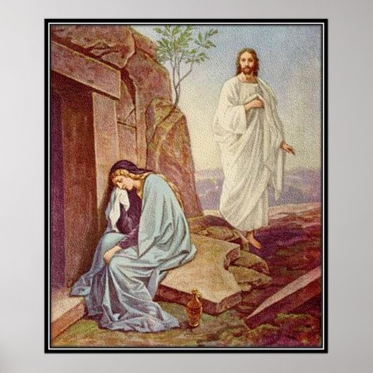 Vintage : rooster - poster (Voorkant)